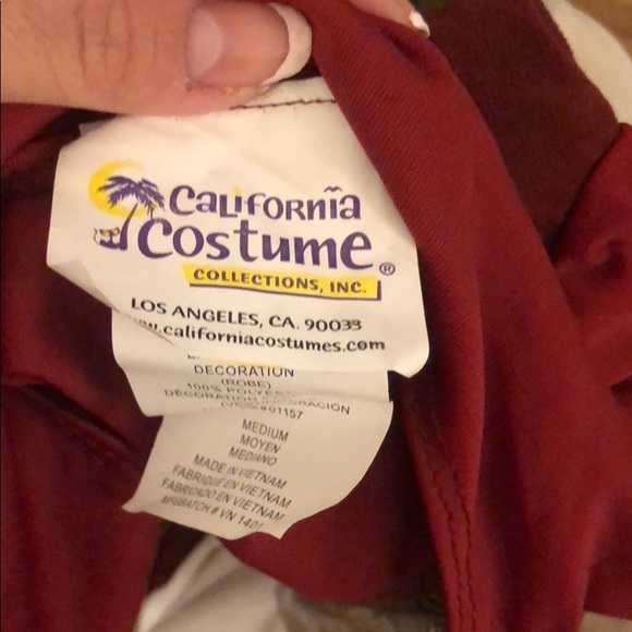 Maid Marian costumes - Picture 3 of 8